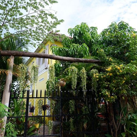 Homestay Yellow Natural House Siem Reap Exterior foto