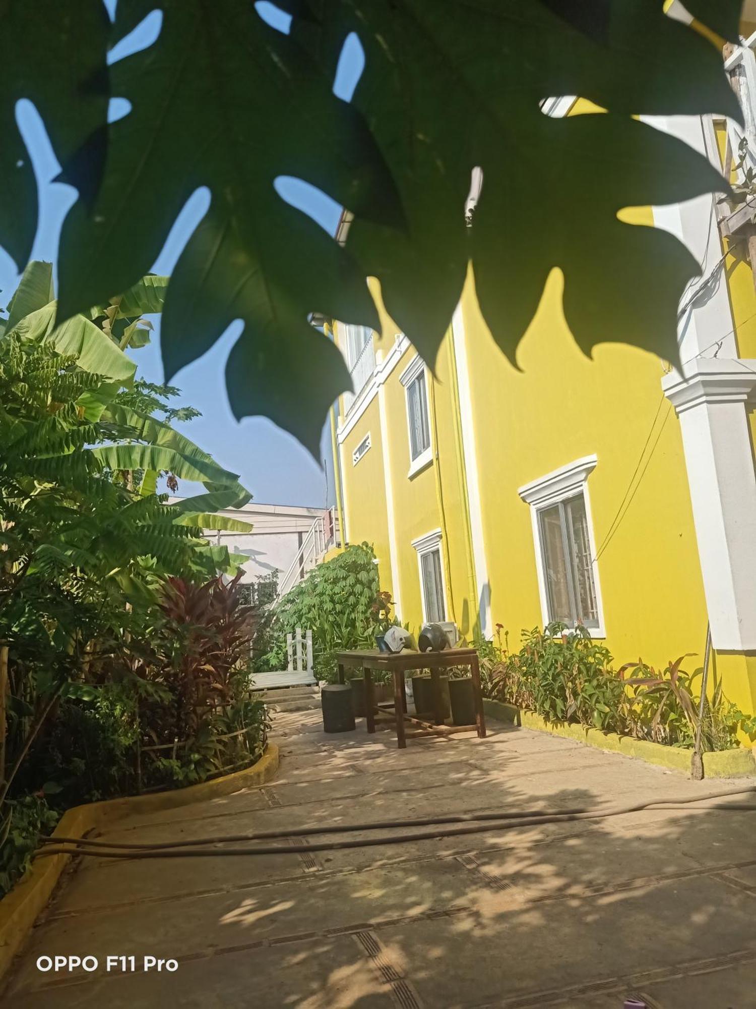 Homestay Yellow Natural House Siem Reap Exterior foto